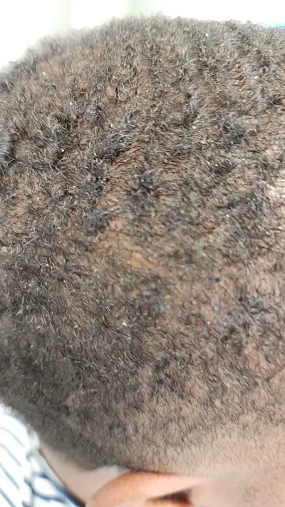 Jp The Boss Barber