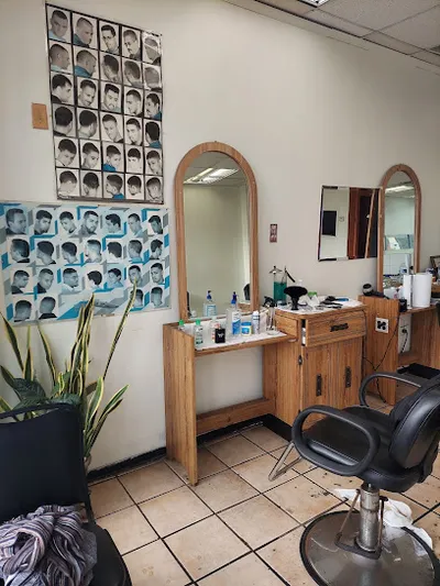 Steve the Barber