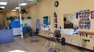 Barber DHairs