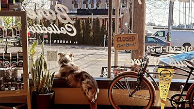 Teds Barbershop