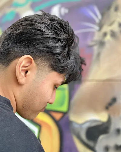 Ilverth barber