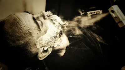 J&J's Barber Parlour