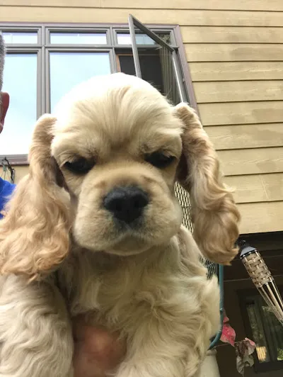 Fido's Barber Shop