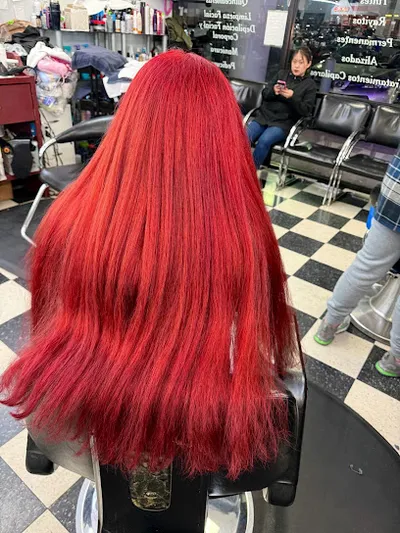 Delmy’s Hair Design & Barbershop