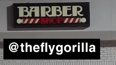 The Fly Gorilla Barbershop