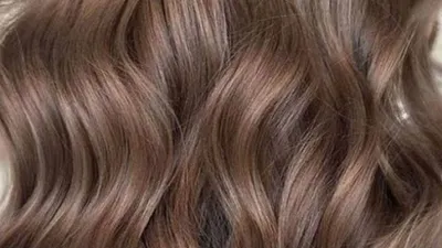 Perfection Hair salon & barber حلاق عربي