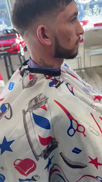 The Chelys Barber