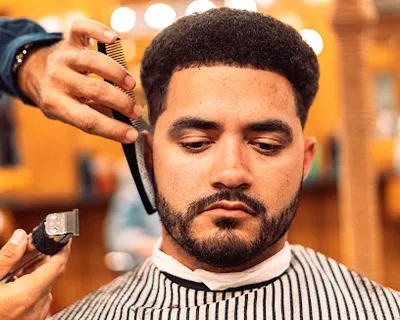 Bodega Barber