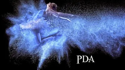 Performing Dance Arts Toronto Ltd.