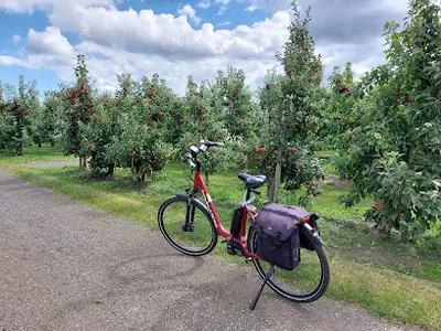 Cycling-Stop Grünendeich