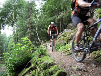 Radshop Bike Insider