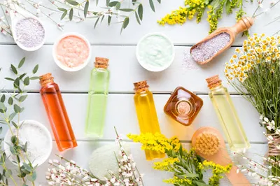 NaturDar Deutschland