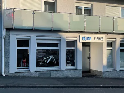 Pajung E-Bikes