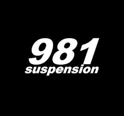 981 Suspension