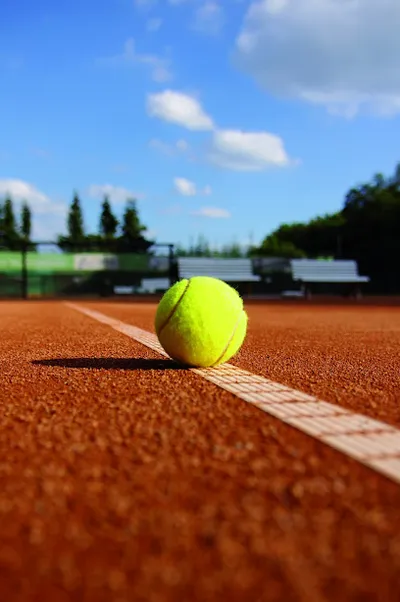 MS Tennisschule GmbH & CO. KG