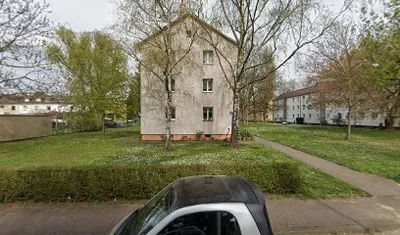 Ulrich Kubetzek Ginkgo-Budo