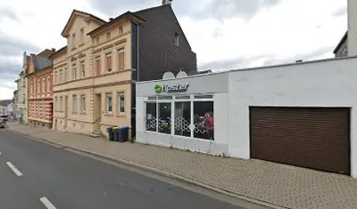 Tipster Sport Wetten