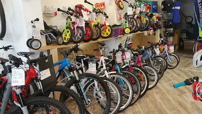 Zweirad - Profi Bernau Fahrradgeschäft