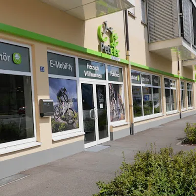 Schmidt Pedelec & More GmbH