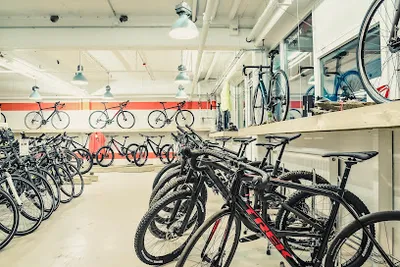 Asphalt und Wald der Radladen