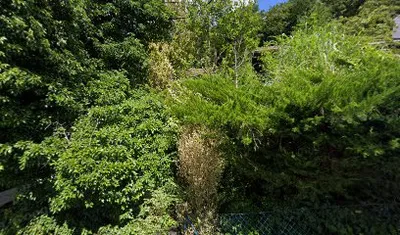 Lowica Reitsport GmbH & Co. KG