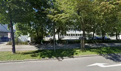 Yillah Waist Trainers