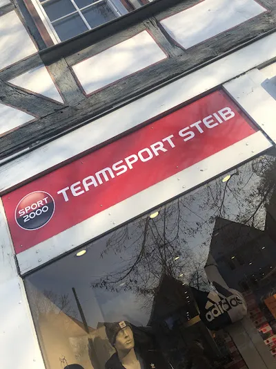Teamsport Steib
