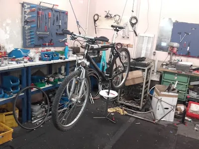 Bring Service Radsport Condor