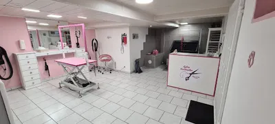 Sylvis Hundesalon