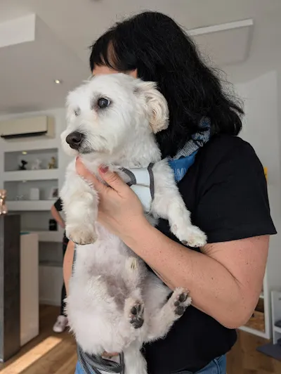 Hundesalon Fellverliebt Inh Nadine Buffen