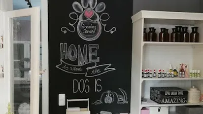 Hundesalon Stiltreu