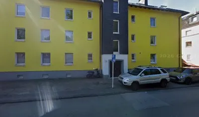 Schimmelspürhund Rico