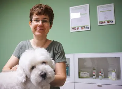Hundefriseur "Pudelwohl"