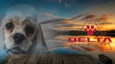 Hundesalon Delta Dog Design