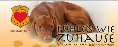 Job’s Tier-Hotel - Buchholz (Dibbersen)