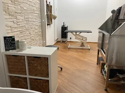 gougou Hundefriseur
