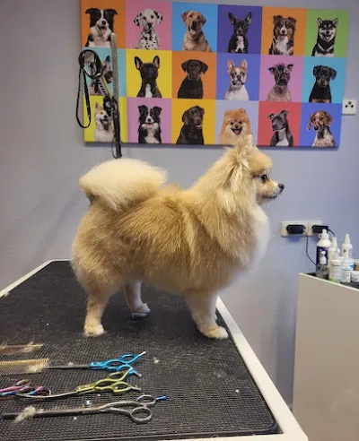 Hundesalon Schön gemacht, by Oli
