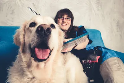 Pfotenzauber Hundefriseur - Hundesalon