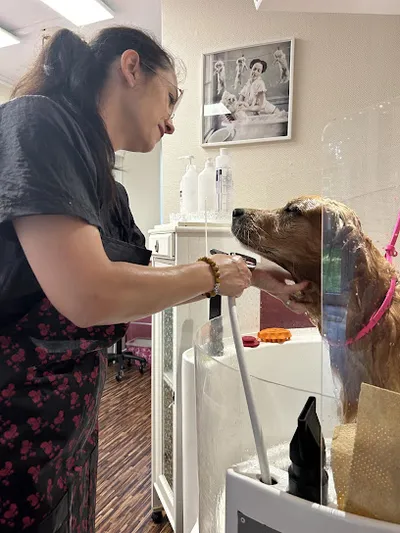 Beauty Dog Solln