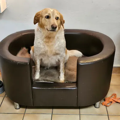 Hundesalon Fell&Pfoten