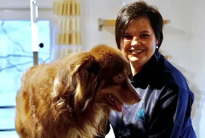 Fellschneiderei Hundefriseur Witten