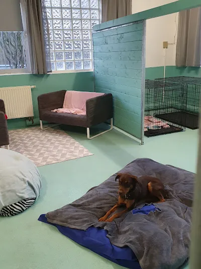 Hundesalon Klein und Fein