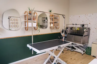 Hundefriseur Fell Good Company - Hundesalon & Vet Physio