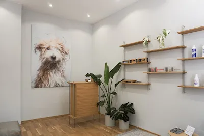 KuschelTier – Dog Grooming Studio