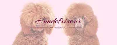 Hundefriseur Tierliebeland
