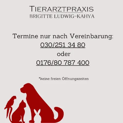 Tierarztpraxis Brigitte Ludwig-Kahya