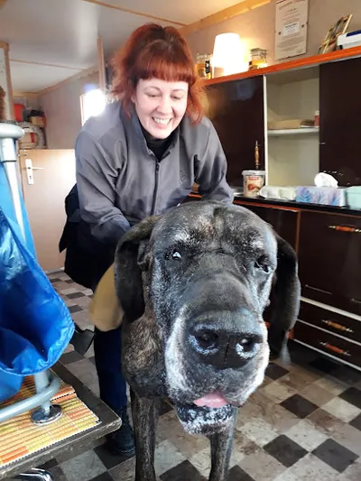 Fellpflegerei Berlin - Hundefriseur