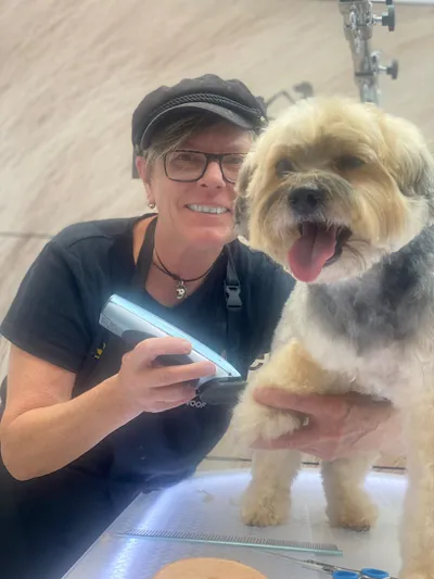 Little Groomer | Hundefriseur