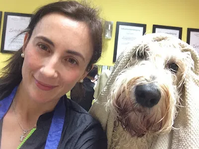 Hundesalon Ziborich - Schwarzenbek und Umgebung
