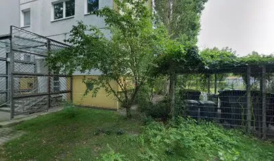 Hellersdorfer-Gassihunde-Tierbetreuung